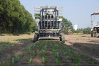 节水抗旱稻-绿叶菜轮作机械化生产关键技术推进会在廊下顺利召开