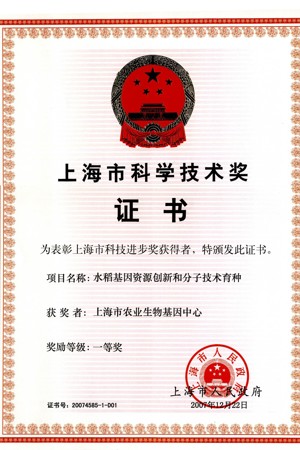  2007年上海市科技进步一等奖