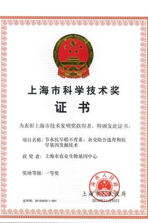  2010年上海市科技发明一等奖