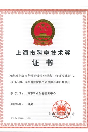  2015年上海市科技进步一等奖