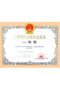  2005年上海市科技进步一等奖