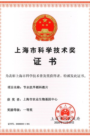 2020年上海市科学技术普及奖一等奖