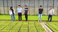 基因中心生菜团队科技人员赴甘肃省农业科学院交流