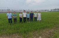 中国水稻研究所专家赴节水抗旱稻国际策源中心调研