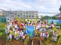 校外辅导员田间传技，科技进校园再添新彩 ——诸翟学校智慧农场喜获丰收