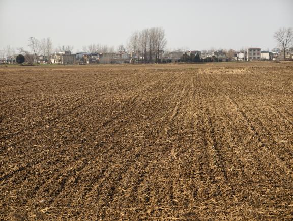 973db1e44dcf53f616b56fa17668ad58