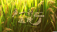 另一种选择科教片