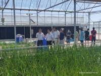 副院长赵志辉慰问基因中心金山综合试验站科技人员