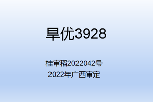 旱优3928