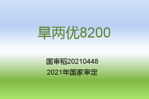旱两优8200