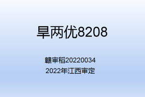旱两优8208