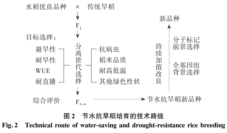 da7acf0aee374003a7b3dca759cce69f.png