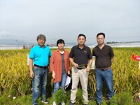 节水抗旱稻亮相浙江省水稻新品种核心基地展示会，多品种对比凸显硬实力