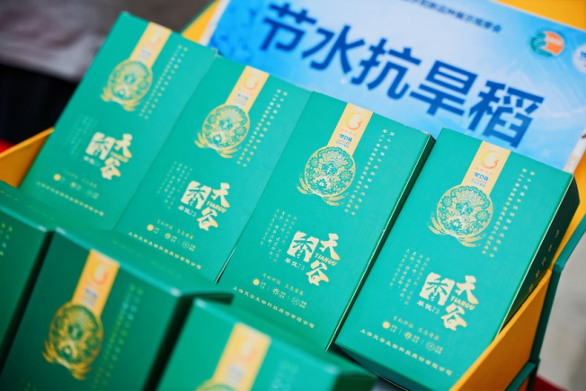 图片 7