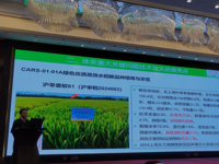 基因中心科技人员参加国家水稻产业技术体系2024年度工作总结和人员考评会
