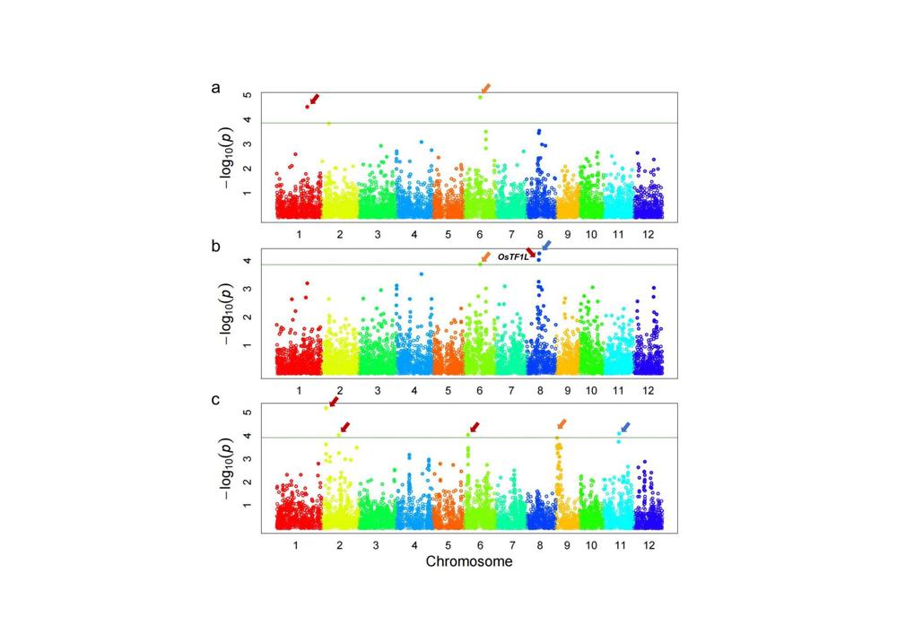 Fig4 