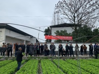 “沪芊”生菜观摩活动在四川成都郫都区成功举办