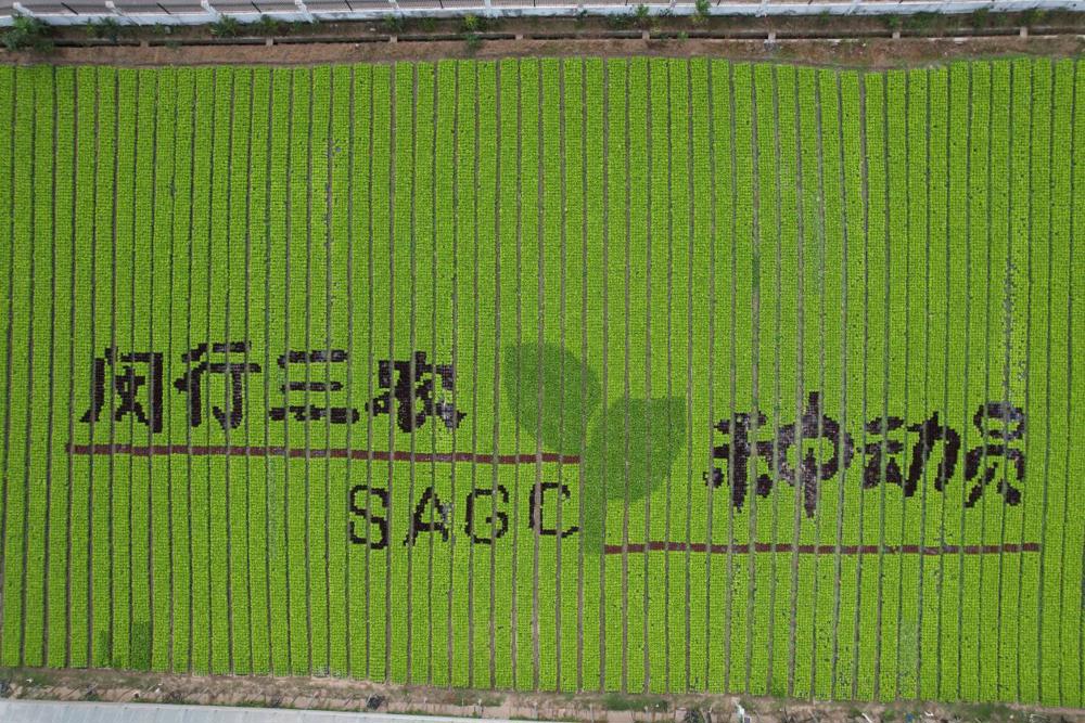 ec098edc3860cc8588e357d6d6231b63