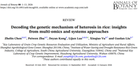 多组学解码水稻杂种优势遗传机制：为智能设计育种与绿色超级稻培育提供新思路