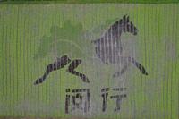 汇团建合力 融发展同心 ——基因中心团支部联合多家团组织举办“青禾· 生菜说”青年研讨活动